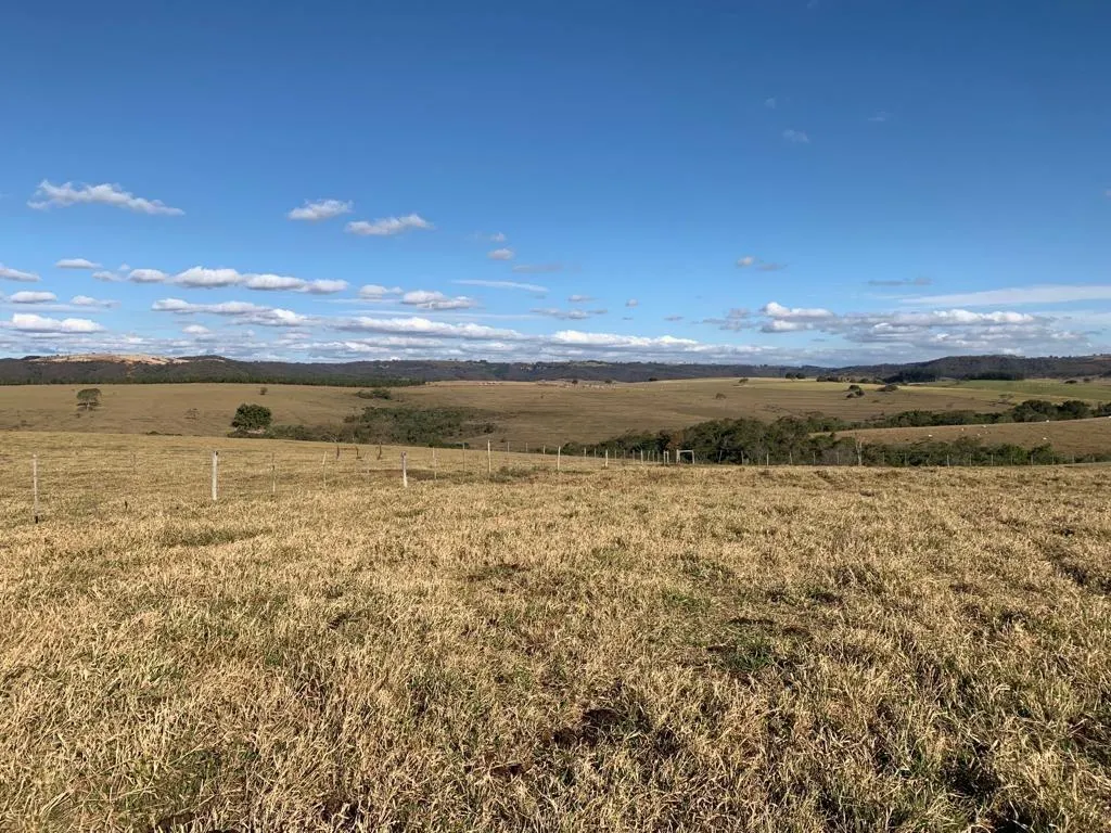 Fazenda à venda de 125 ha em Marília, SP, Brasil