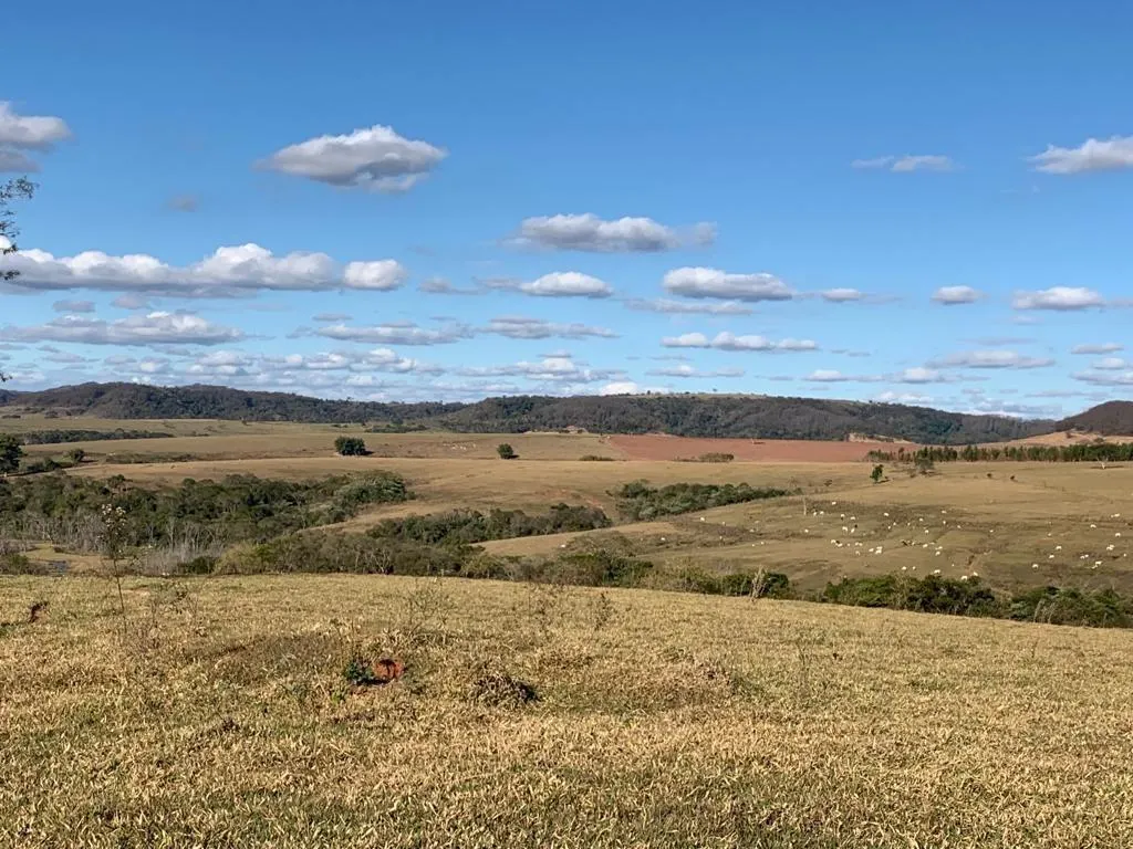 Fazenda à venda de 125 ha em Marília, SP, Brasil