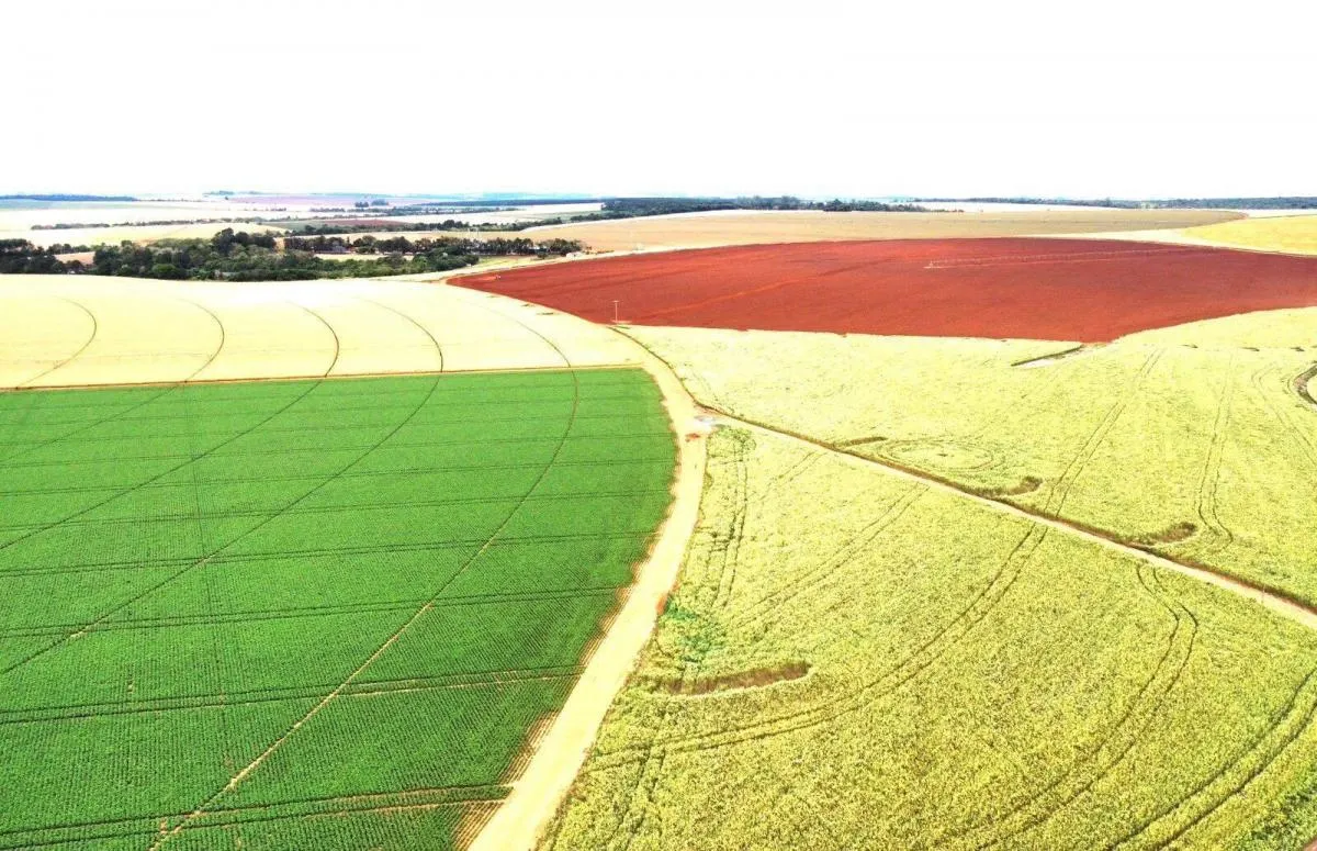 Fazenda à venda de 1.670 ha em Itaberá, SP, Brasil