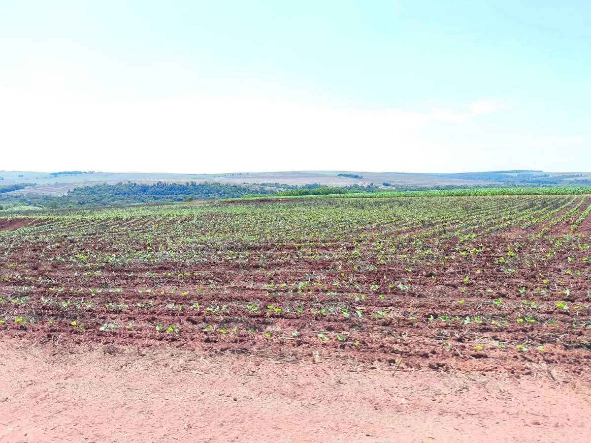 Fazenda à venda de 1.670 ha em Itaberá, SP, Brasil