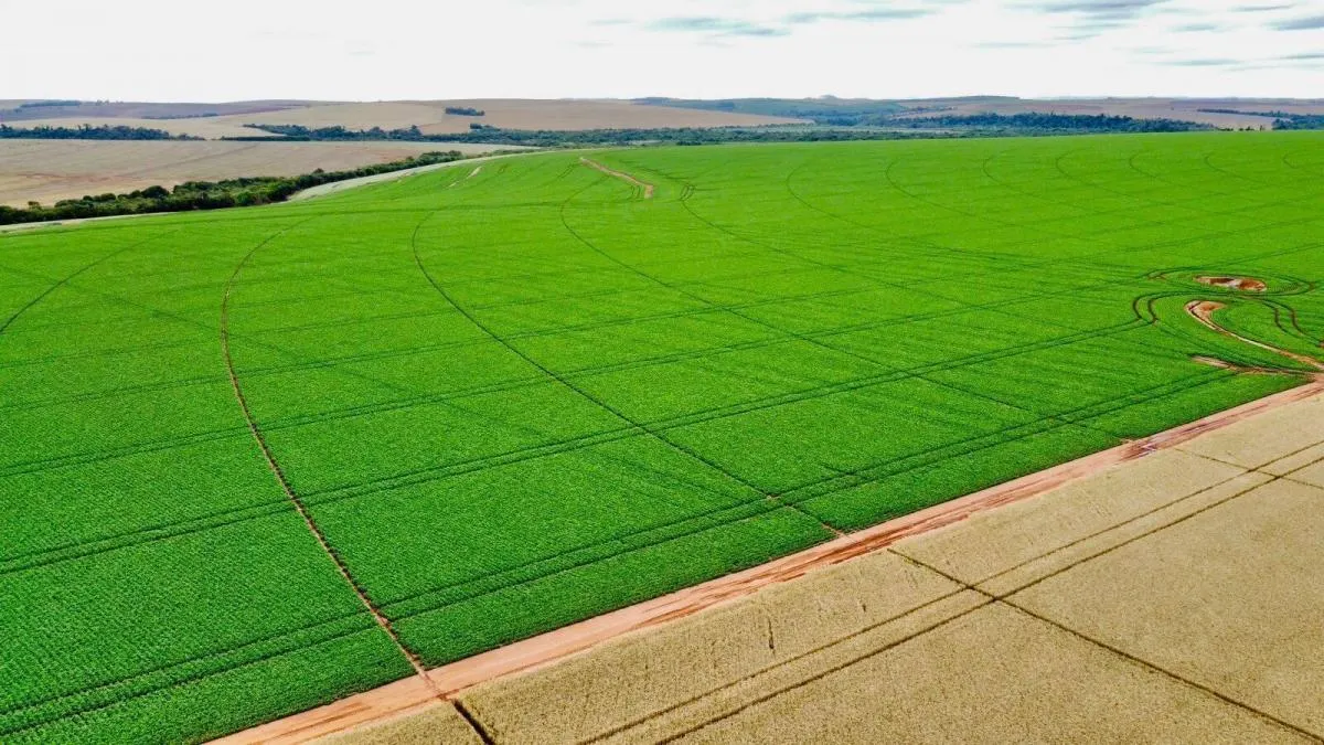 Fazenda à venda de 1.670 ha em Itaberá, SP, Brasil