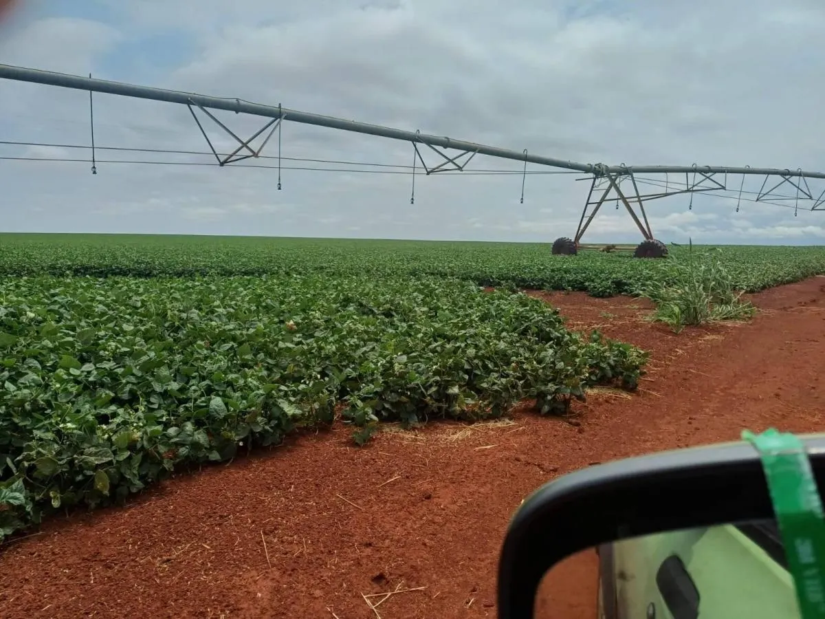 Fazenda à venda de 1.670 ha em Itaberá, SP, Brasil
