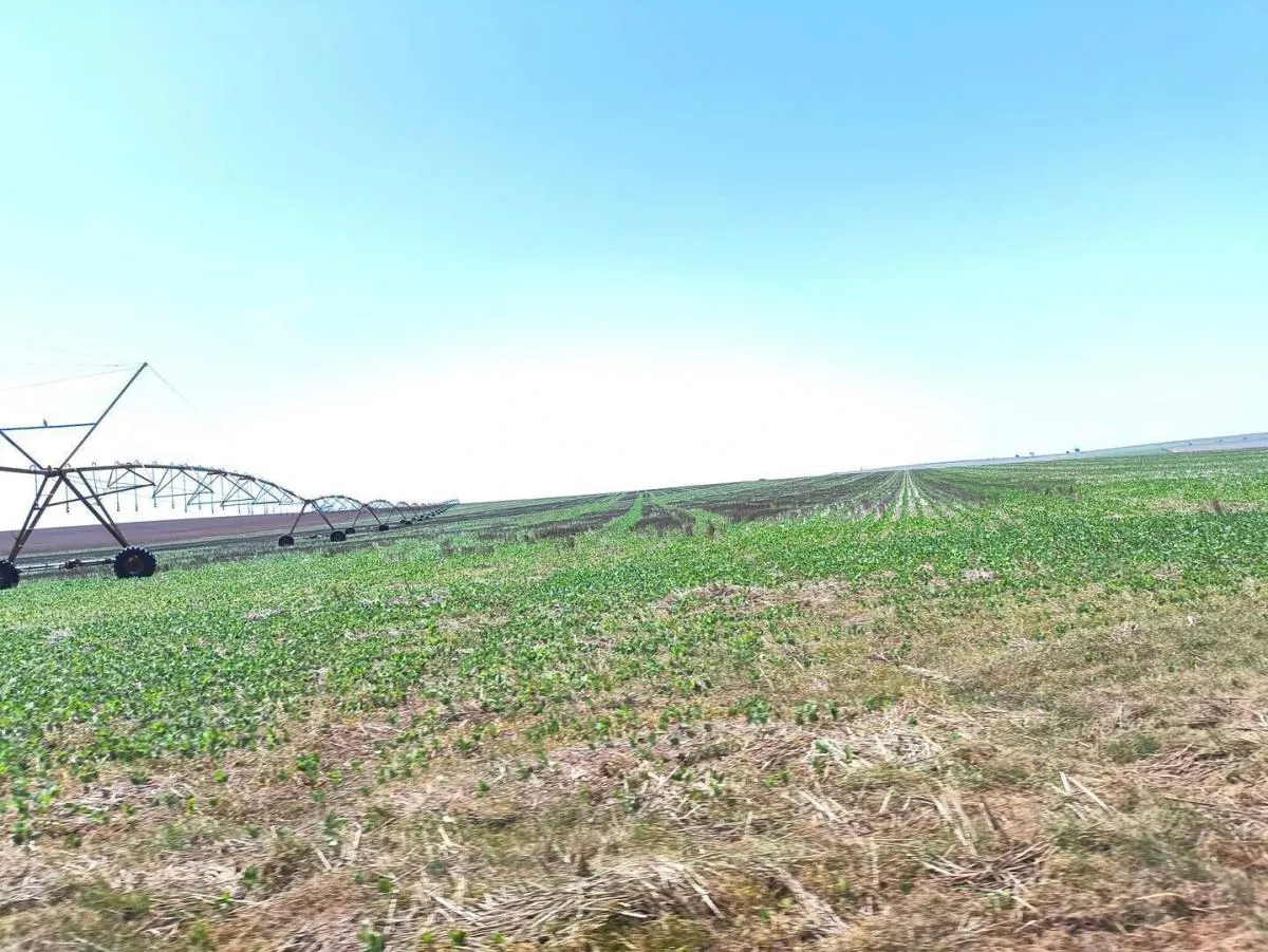 Fazenda à venda de 1.670 ha em Itaberá, SP, Brasil
