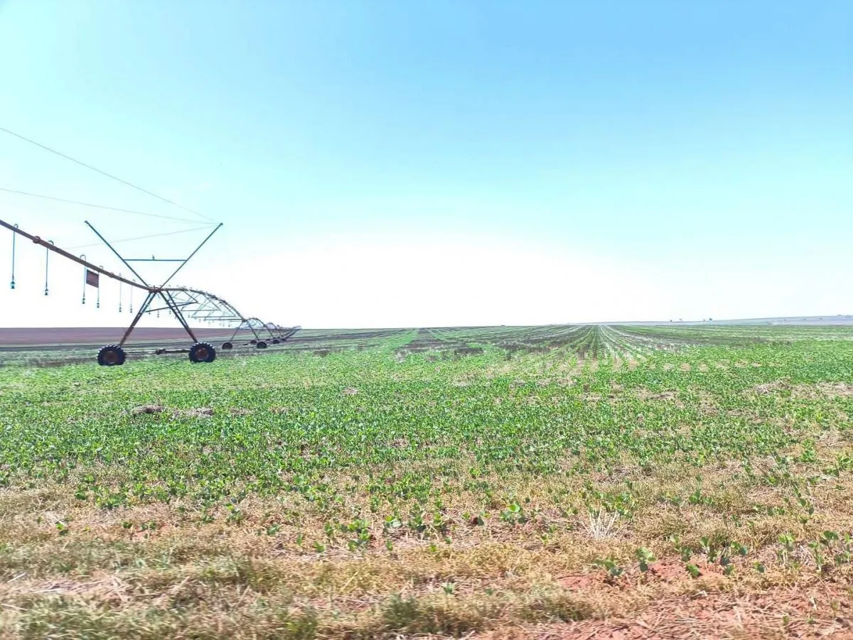 Fazenda à venda de 1.670 ha em Itaberá, SP, Brasil