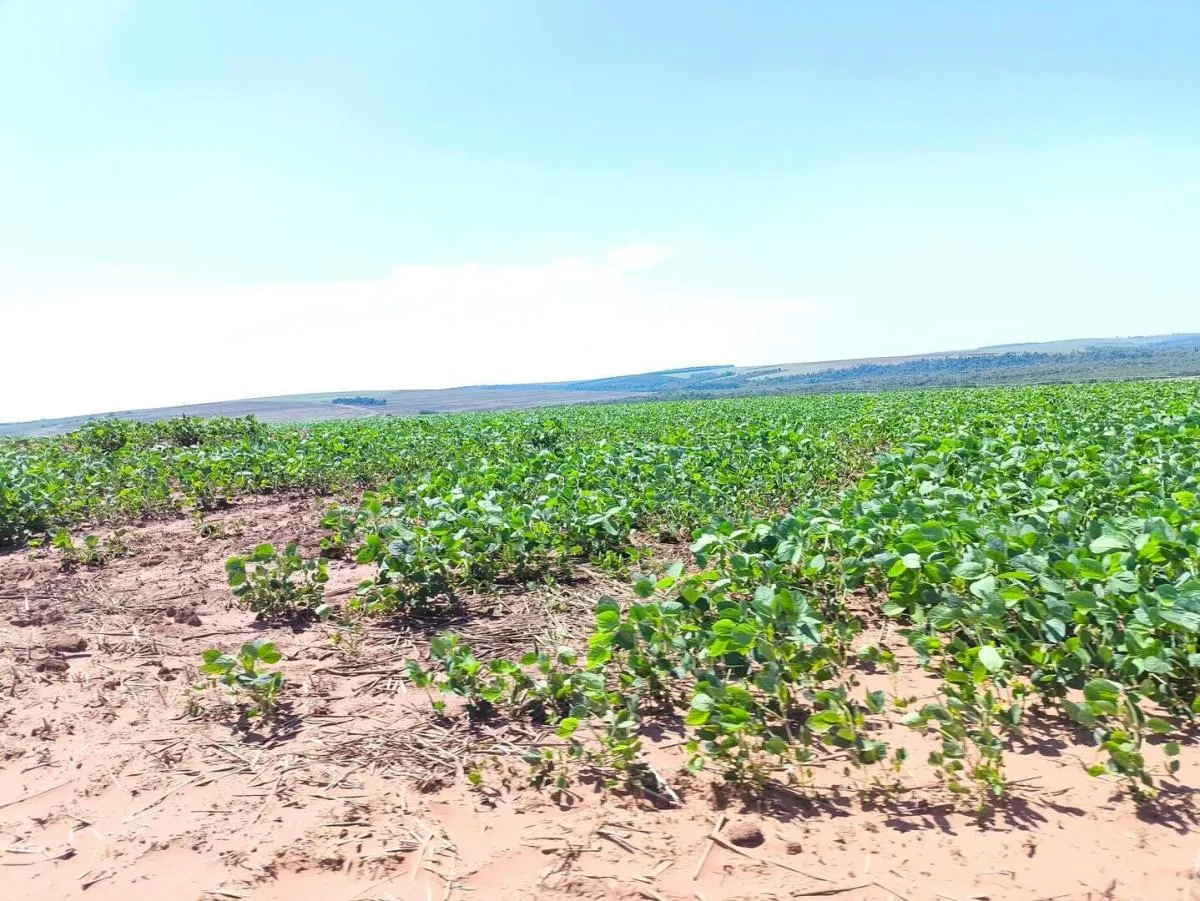 Fazenda à venda de 1.670 ha em Itaberá, SP, Brasil