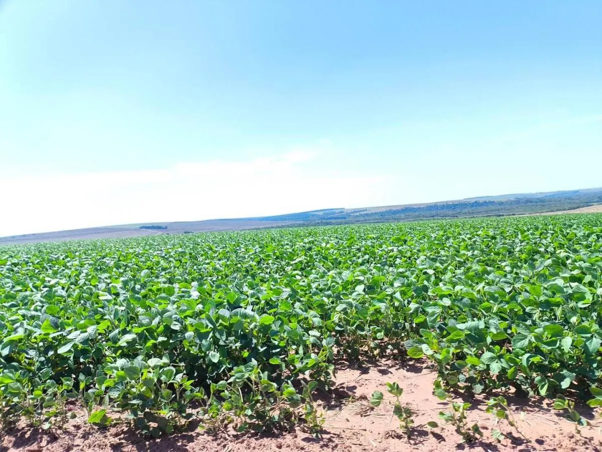 Fazenda à venda de 1.670 ha em Itaberá, SP, Brasil