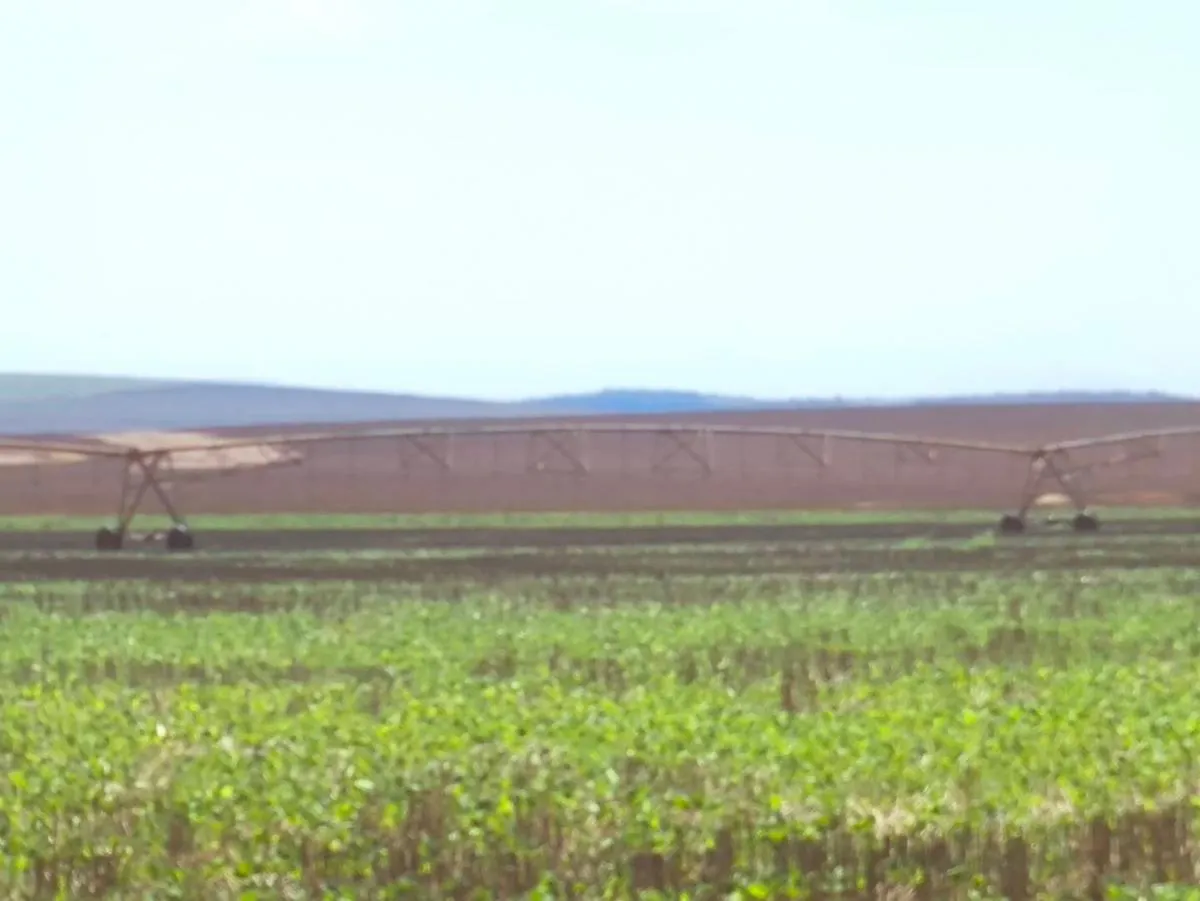 Fazenda à venda de 1.670 ha em Itaberá, SP, Brasil