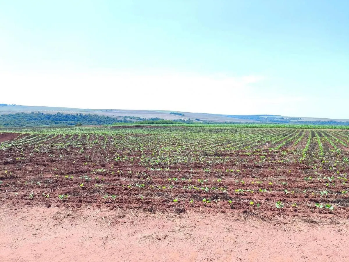 Fazenda à venda de 1.670 ha em Itaberá, SP, Brasil