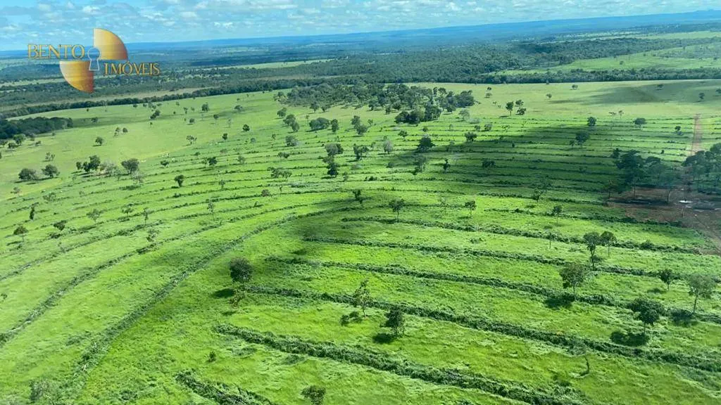 Fazenda à venda de 7.826 ha em Alcinópolis, MS, Brasil