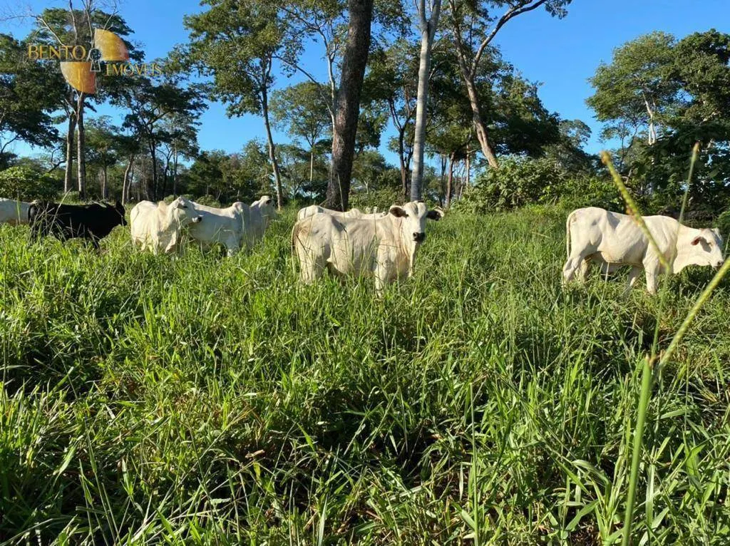 Fazenda à venda de 7.826 ha em Alcinópolis, MS, Brasil