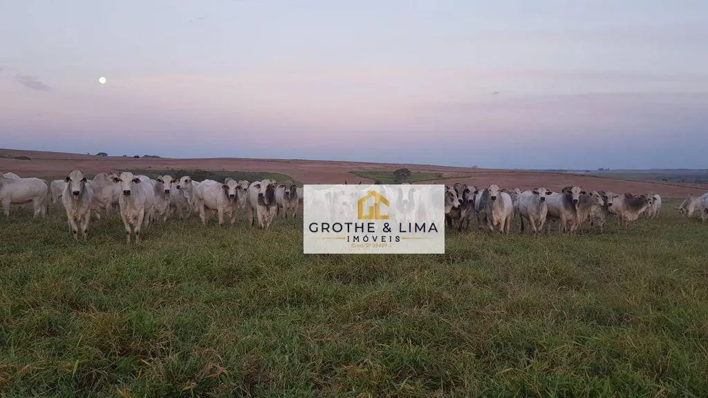 Farm for sale of 12,223 acres in Marília, SP, Brazil
