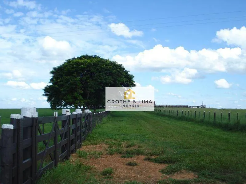 Farm for sale of 12,223 acres in Marília, SP, Brazil