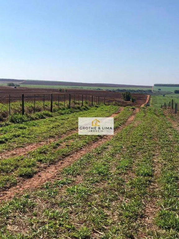 Farm for sale of 12,223 acres in Marília, SP, Brazil