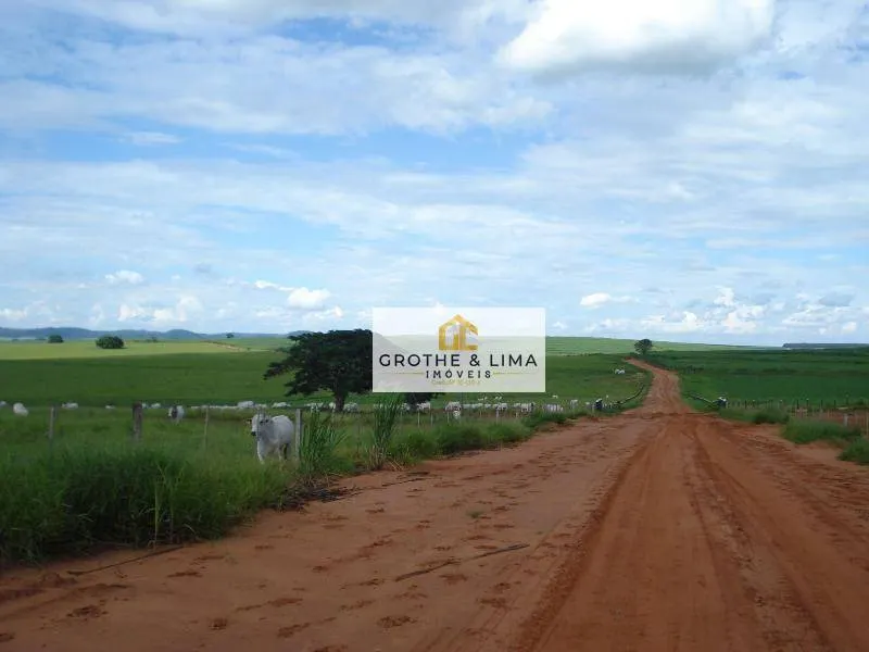 Farm for sale of 12,223 acres in Marília, SP, Brazil