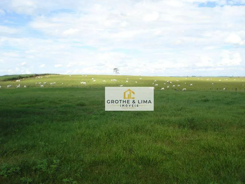 Farm for sale of 12,223 acres in Marília, SP, Brazil
