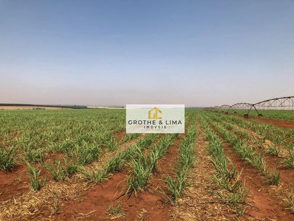 Farm for sale of 12,223 acres in Marília, SP, Brazil