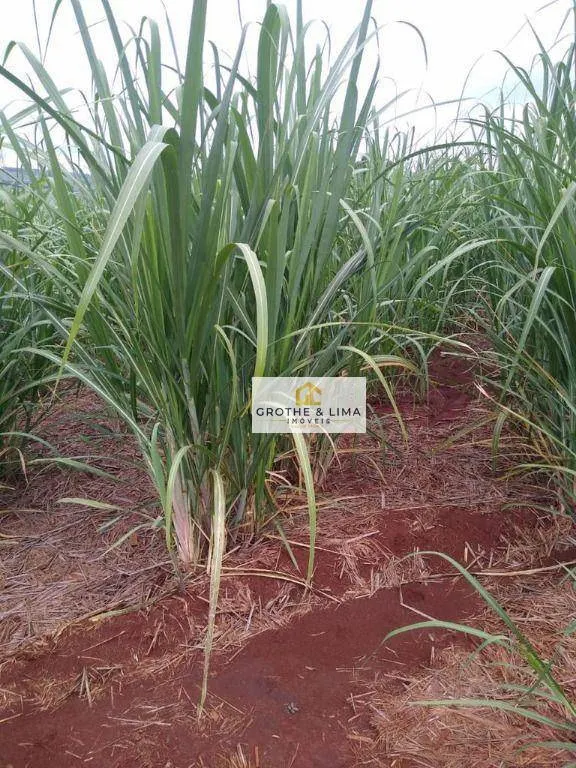 Farm for sale of 12,223 acres in Marília, SP, Brazil