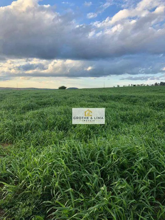 Farm for sale of 12,223 acres in Marília, SP, Brazil