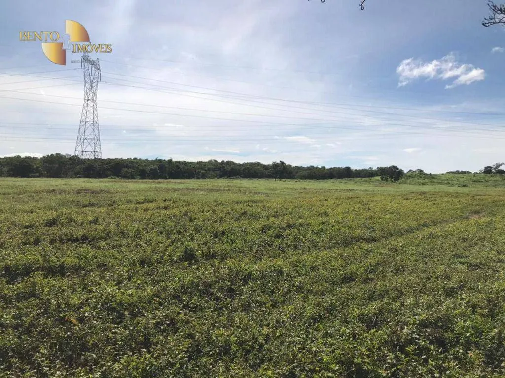 Fazenda à venda de 1.200 ha em Acorizal, MT, Brasil