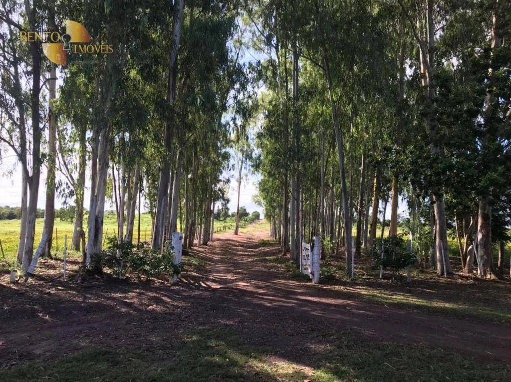 Fazenda à venda de 1.200 ha em Acorizal, MT, Brasil
