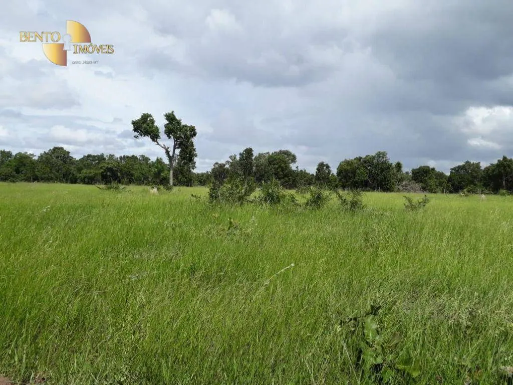 Fazenda à venda de 1.200 ha em Acorizal, MT, Brasil