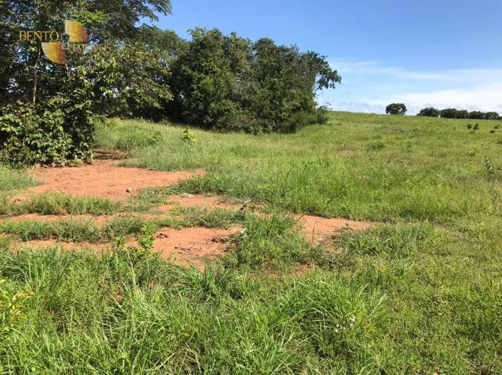 Fazenda à venda de 1.200 ha em Acorizal, MT, Brasil