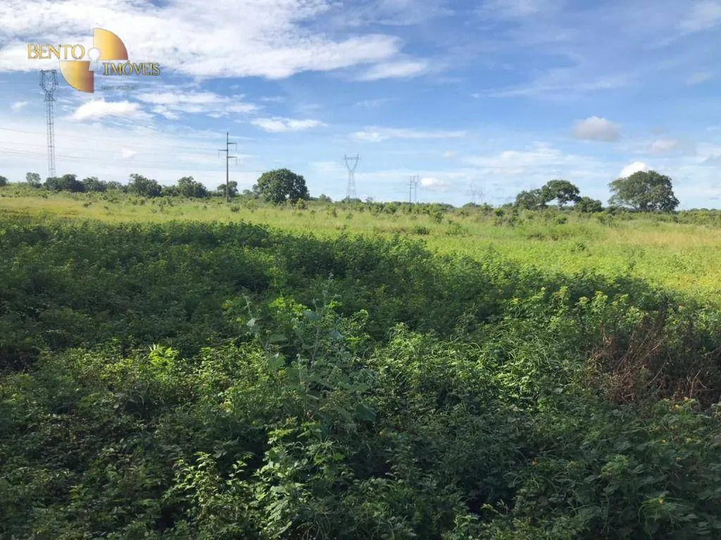 Fazenda à venda de 1.200 ha em Acorizal, MT, Brasil