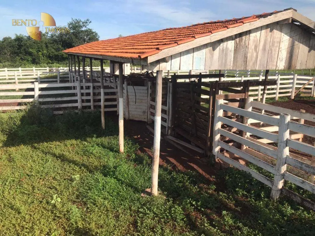 Fazenda à venda de 1.200 ha em Acorizal, MT, Brasil