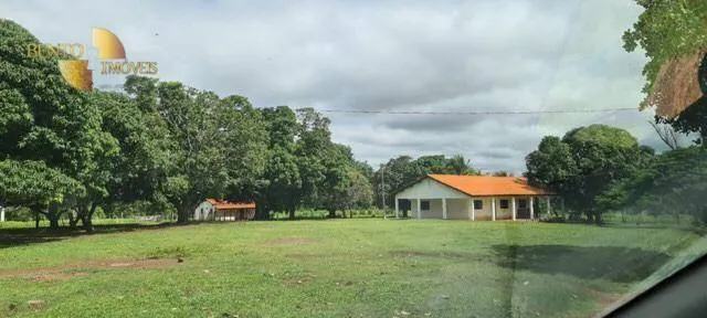 Fazenda à venda de 1.200 ha em Acorizal, MT, Brasil