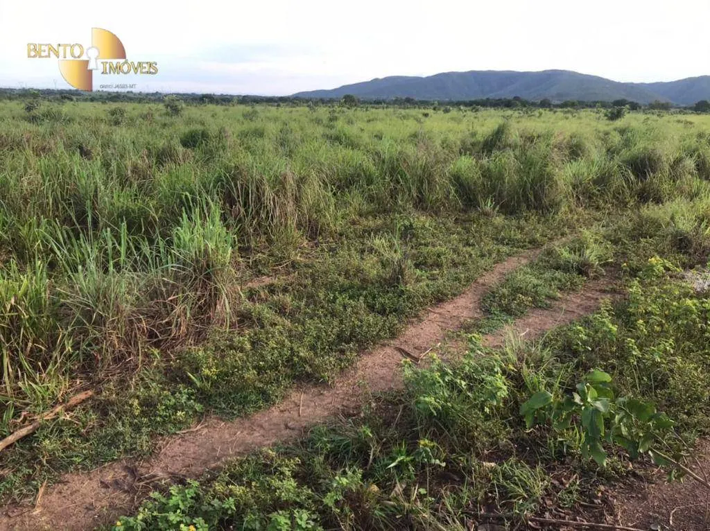 Fazenda à venda de 1.200 ha em Acorizal, MT, Brasil