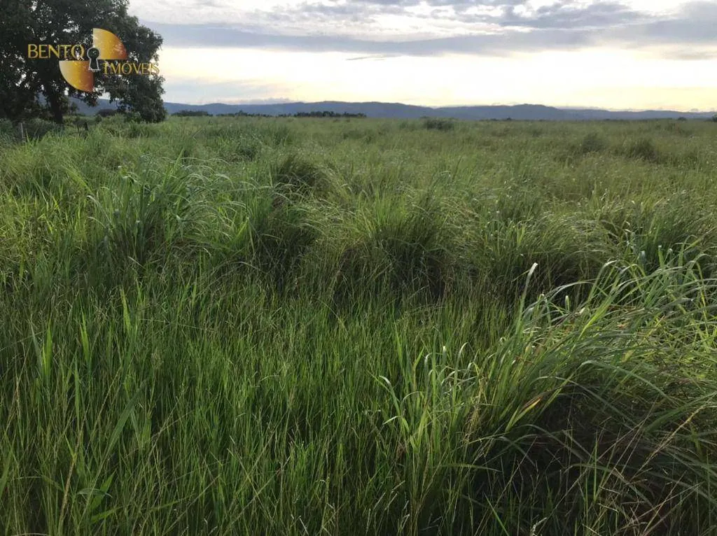 Fazenda à venda de 1.200 ha em Acorizal, MT, Brasil
