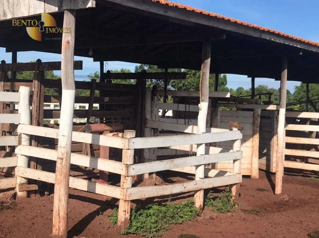 Fazenda à venda de 1.200 ha em Acorizal, MT, Brasil