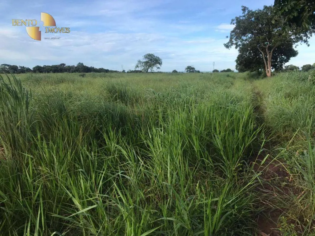 Fazenda à venda de 1.200 ha em Acorizal, MT, Brasil