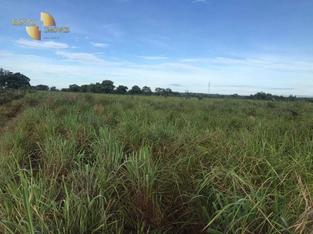 Fazenda à venda de 1.200 ha em Acorizal, MT, Brasil