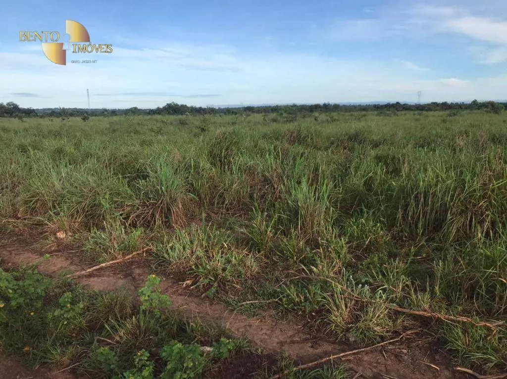 Fazenda à venda de 1.200 ha em Acorizal, MT, Brasil