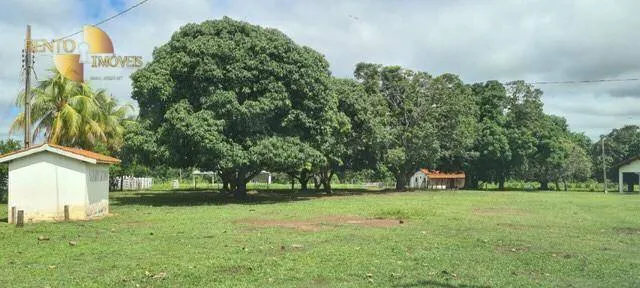 Fazenda à venda de 1.200 ha em Acorizal, MT, Brasil