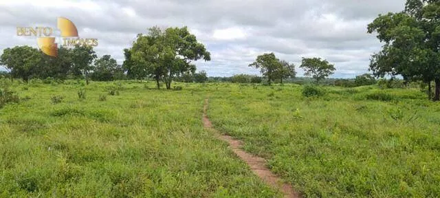Fazenda à venda de 1.200 ha em Acorizal, MT, Brasil