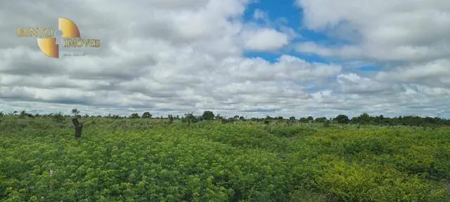 Fazenda à venda de 1.200 ha em Acorizal, MT, Brasil
