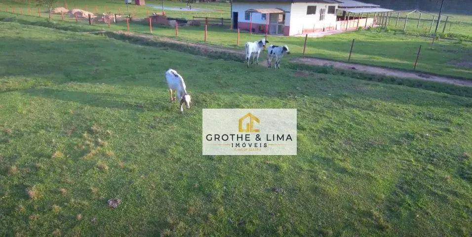 Terreno à venda de 6 ha em São Sebastião, SP, Brasil