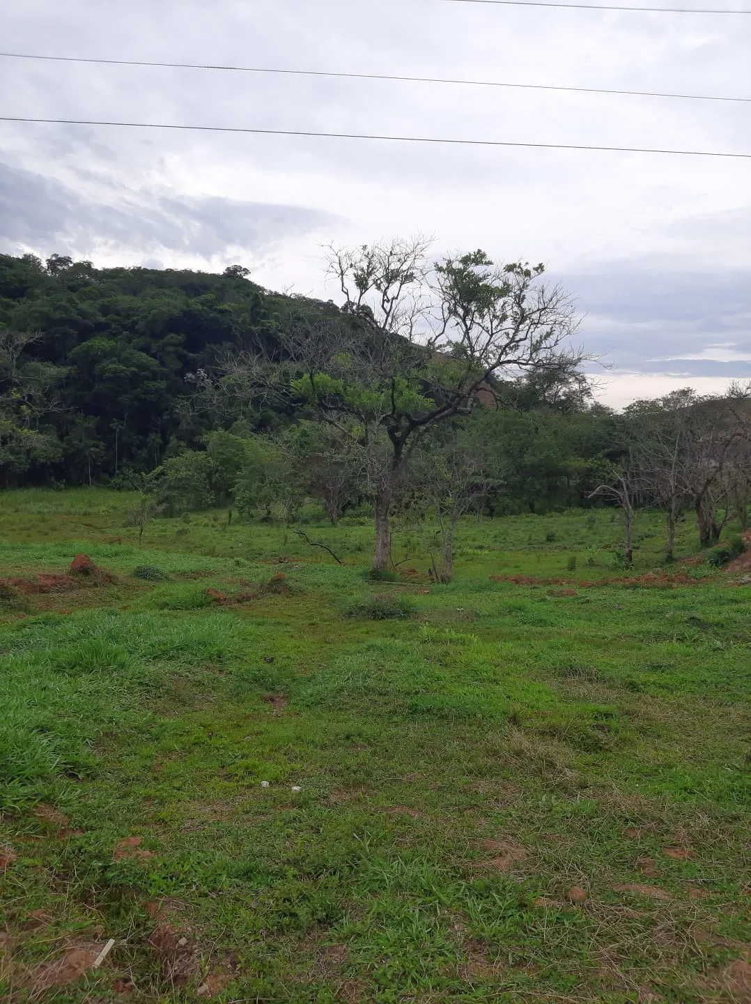 Chácara à venda de 2 ha em São José dos Campos, SP, Brasil