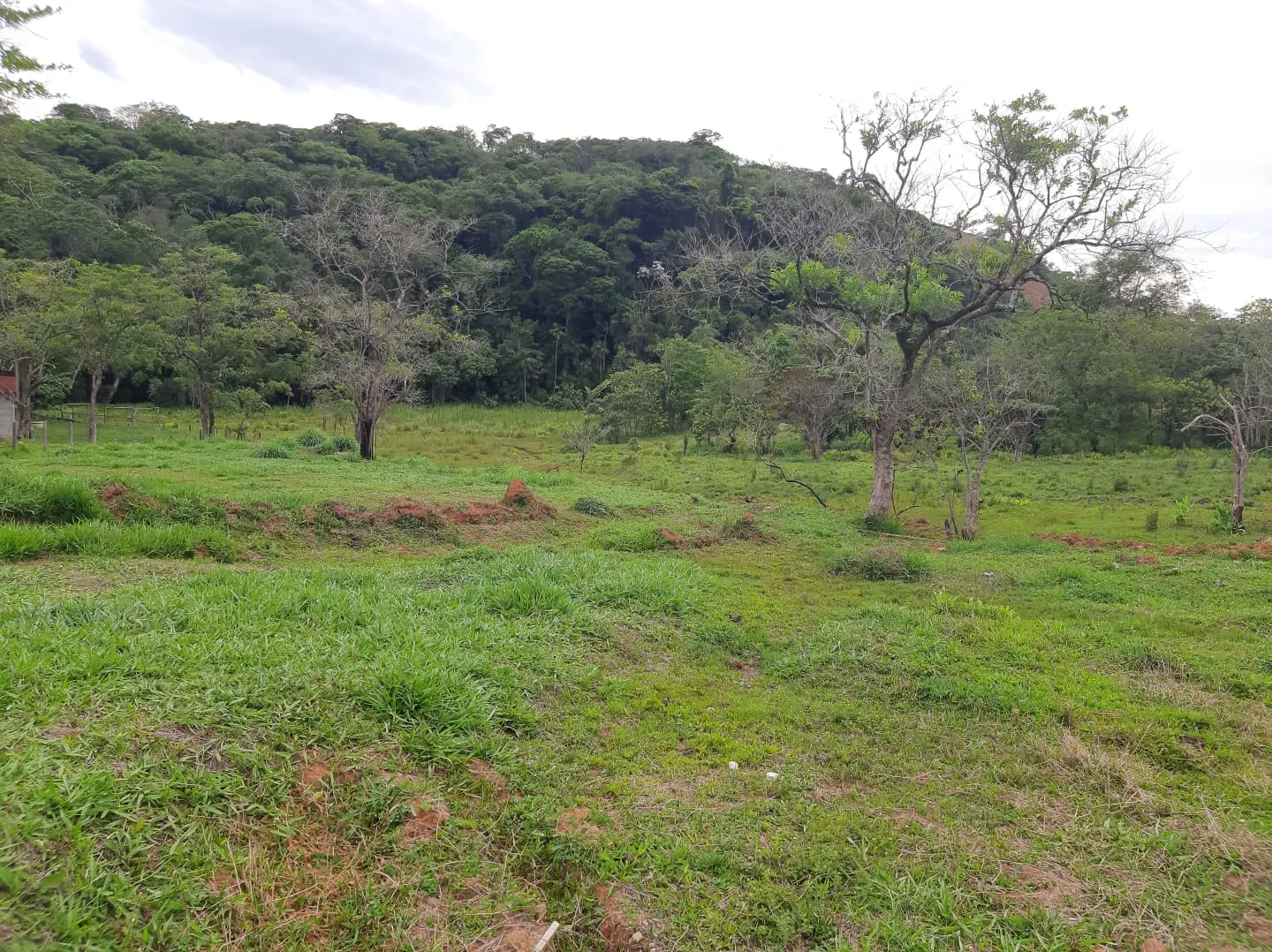 Chácara à venda de 2 ha em São José dos Campos, SP, Brasil