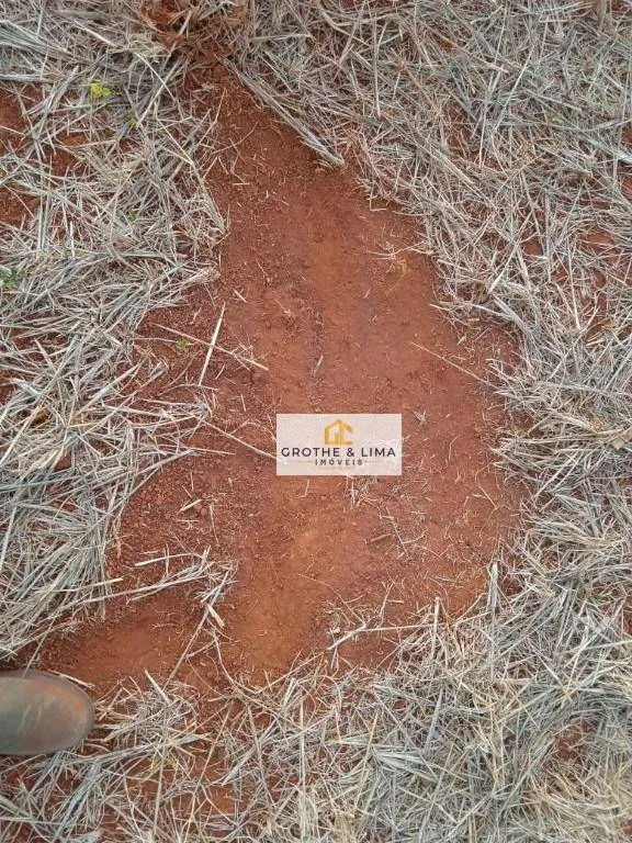 Fazenda à venda de 2.420 ha em Lagoa da Confusão, TO, Brasil