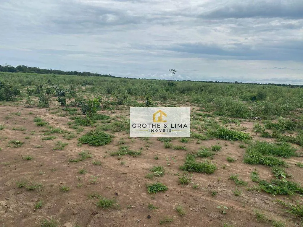 Fazenda à venda de 2.420 ha em Lagoa da Confusão, TO, Brasil
