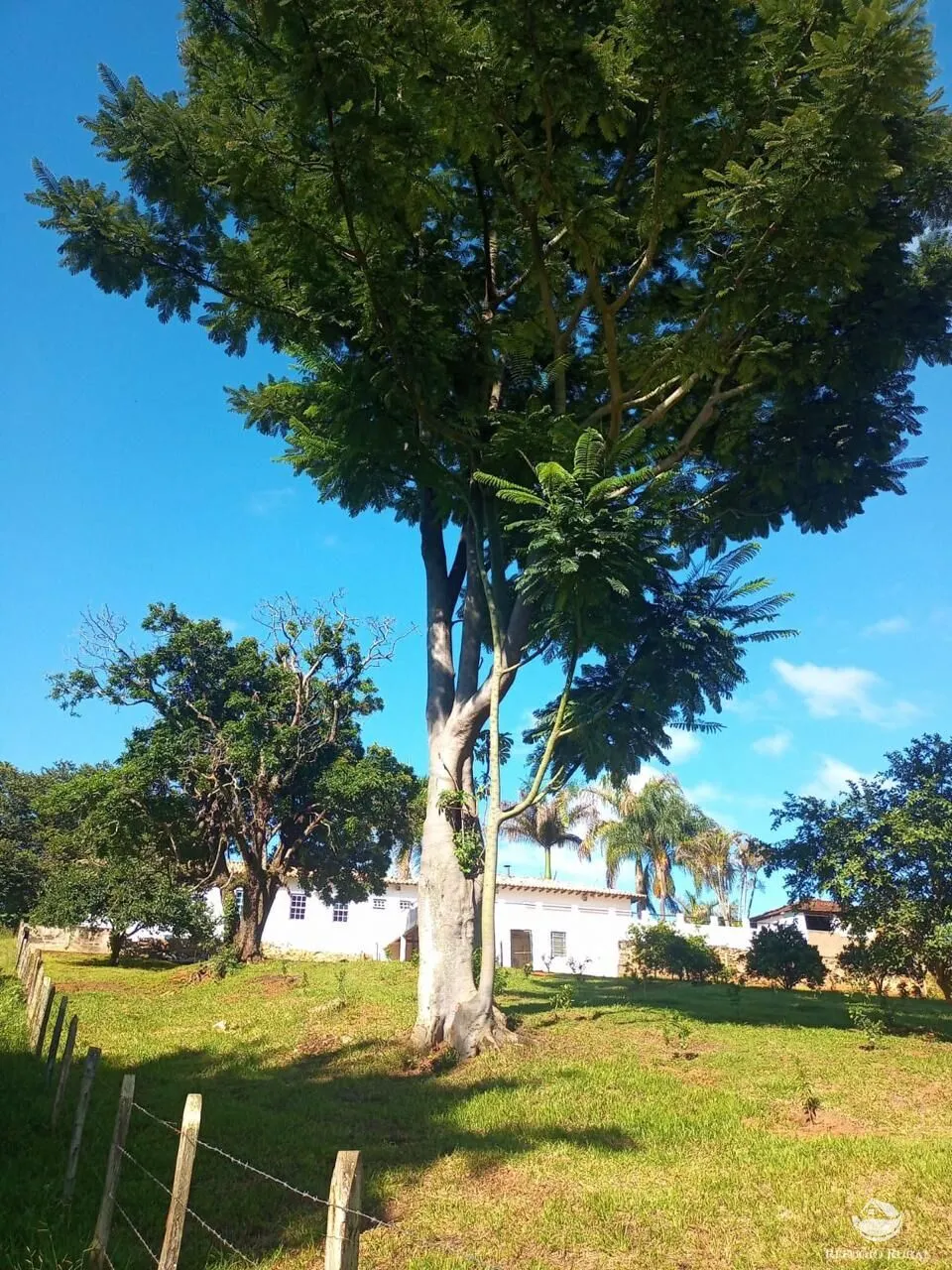 Small farm for sale of 180 acres in Monte Sião, MG, Brazil
