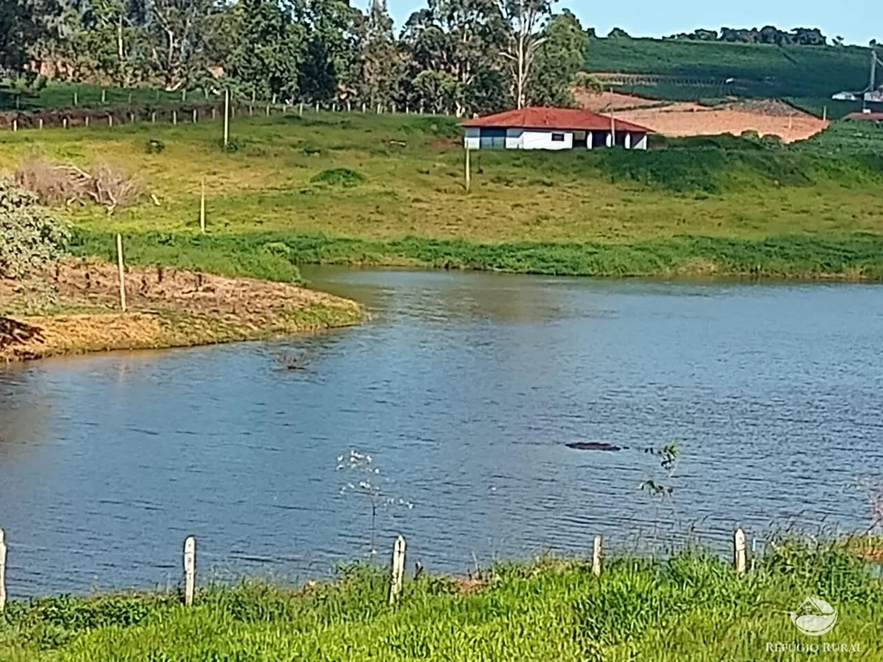 Small farm for sale of 180 acres in Monte Sião, MG, Brazil