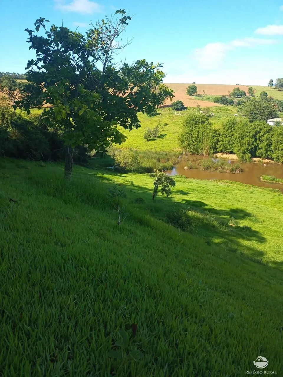 Small farm for sale of 180 acres in Monte Sião, MG, Brazil