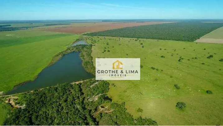 Fazenda à venda de 12.000 ha em Ribeirão Cascalheira, MT, Brasil