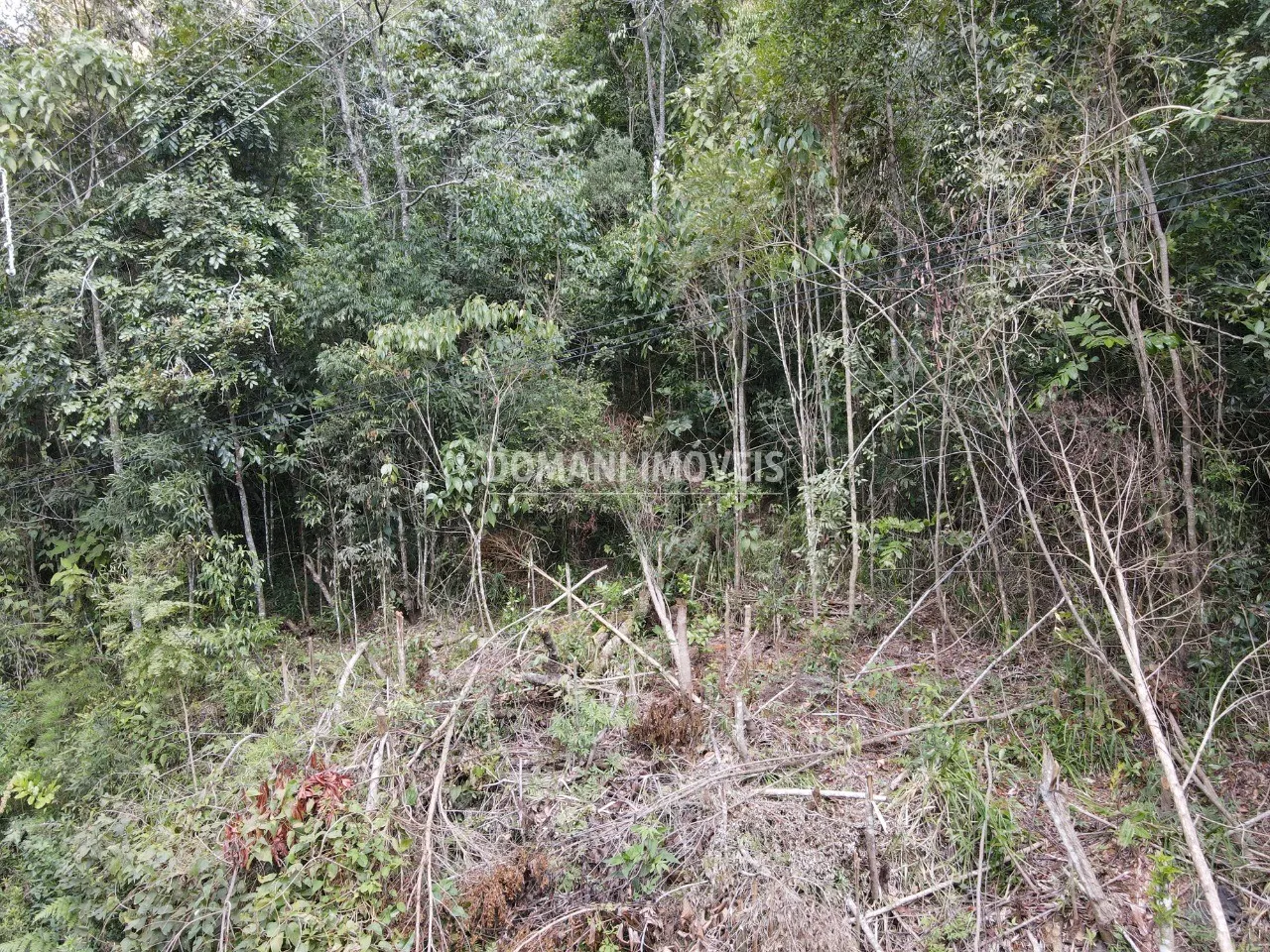Terreno à venda de 1.030 m² em Campos do Jordão, SP, Brasil