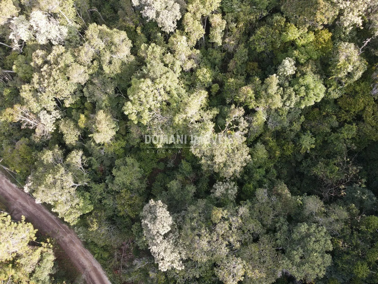 Terreno à venda de 1.030 m² em Campos do Jordão, SP, Brasil