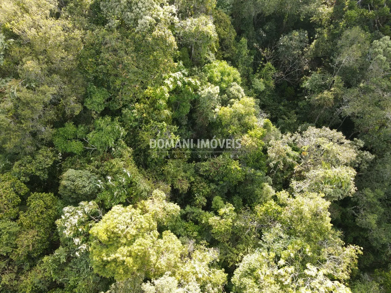 Terreno à venda de 1.030 m² em Campos do Jordão, SP, Brasil